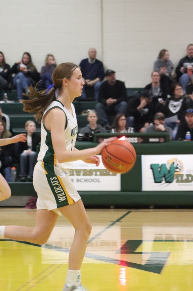 Boys & Girls Sweep WaverlySouth Shore! Northwestern Area School District